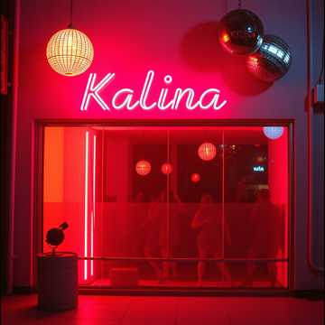 Bitlo.ru - Калина Диско