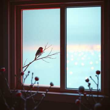 Bitlo.ru - Папин завет