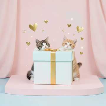 Bitlo.ru - Макар и Полина,вы наши самые замечательные,самы...