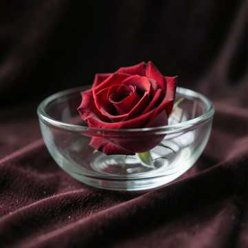 Bitlo.ru - Мои желанья