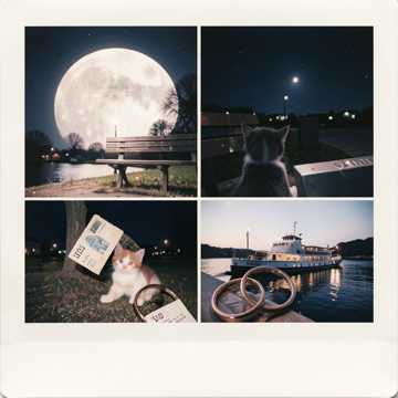 Bitlo.ru - любовь