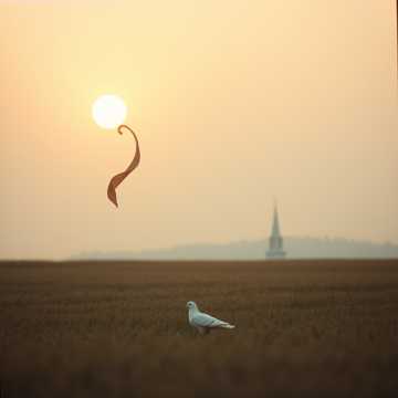 Bitlo.ru - В небе алый рассвет, в сердце память живёт,