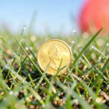 Bitlo.ru - Муха-Цокотуха: Денежный Денёк