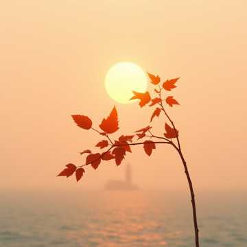 Bitlo.ru - Рыжее Солнце