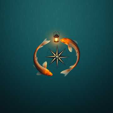 Bitlo.ru - Инь и Янь