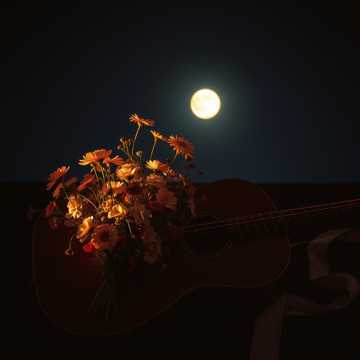 Bitlo.ru - Lole_я подарил тебе цветы... 