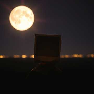 Bitlo.ru - К 8 марта 2