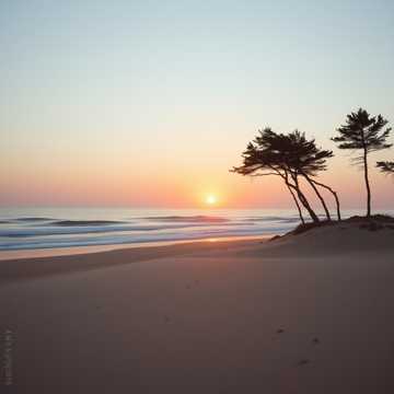 Bitlo.ru - Белое Море