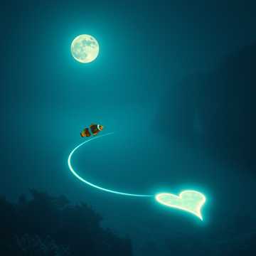 Bitlo.ru - Мой маленький Немо