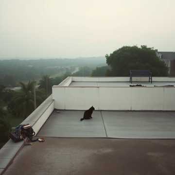 Bitlo.ru - tlo.ru - Bio.ru - Bitlru - Bitlo. - Bitlo.ru Bitlo.ru -