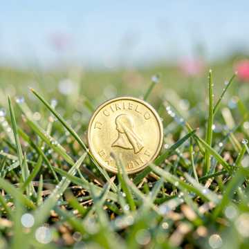 Bitlo.ru - Муха-Цокотуха: Денежный Денёк