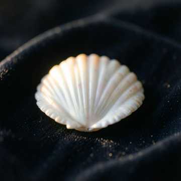 Bitlo.ru - Моей Натусе