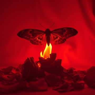 Bitlo.ru - Мотыльком