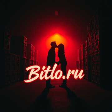 Bitlo.ru - Складская Лав Стори