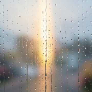 Bitlo.ru - Моя Натуся