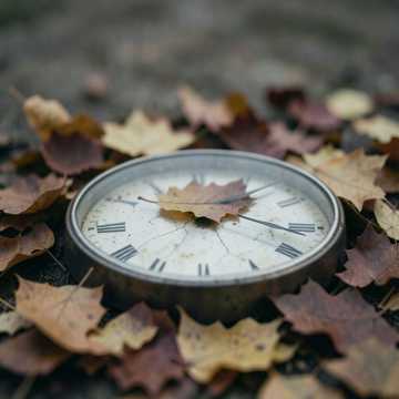 Bitlo.ru - Три года тишины