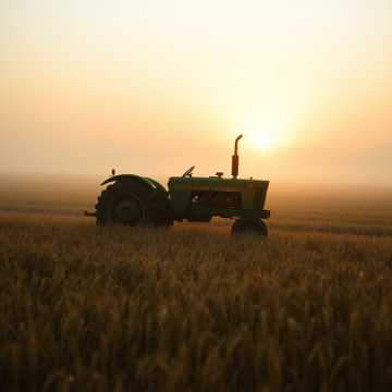 Bitlo.ru - Mtzshka - Полевая Душа