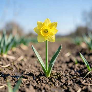 Bitlo.ru - Мартовская Звезда (Для Натальи)